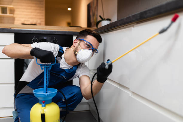 Best Wasp Removal Services  in Albany, OR