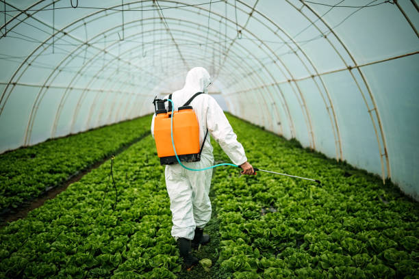 Best Local Pest Control Services  in Albany, OR