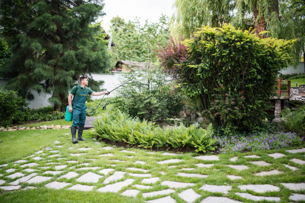 Best Pest Control for Restaurants  in Albany, OR