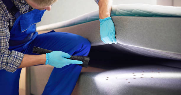 Best Insect Control  in Albany, OR