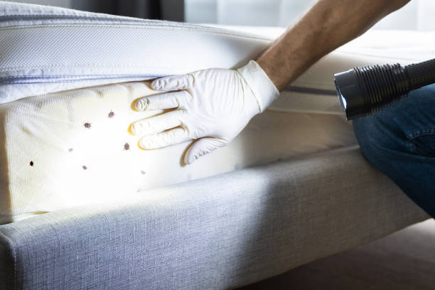 Best Best Pest Control Companies  in Albany, OR