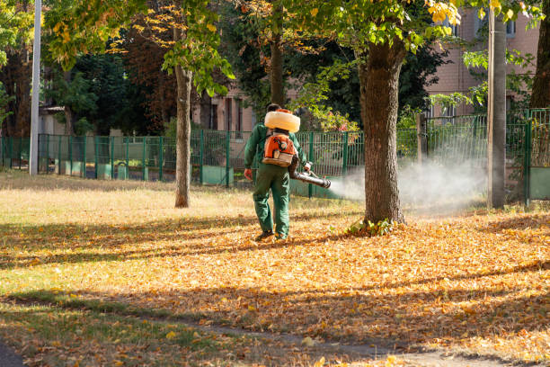 Best Affordable Pest Control Services  in Albany, OR