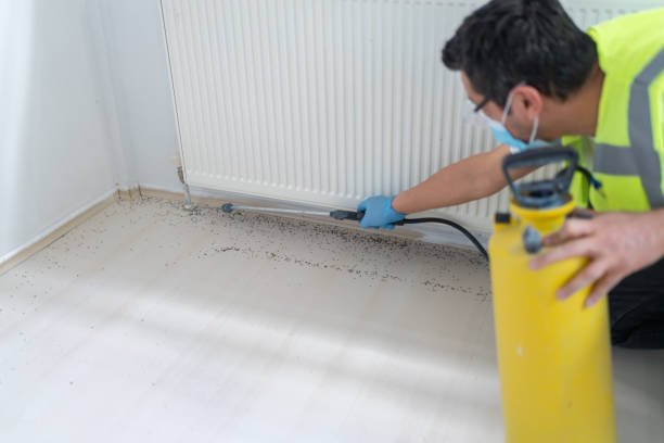 Best Residential Pest Control  in Albany, OR